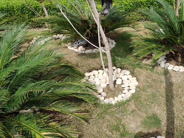 River Pebbles in Garden
