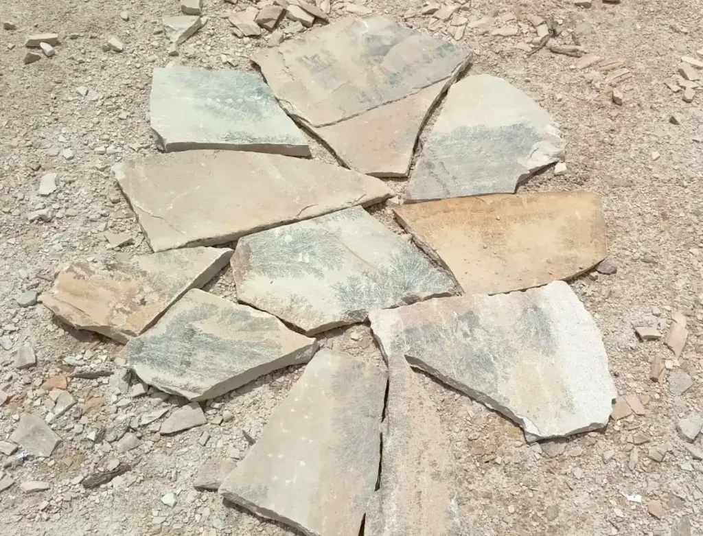 Fossil Mint Sandstone Crazy Paving